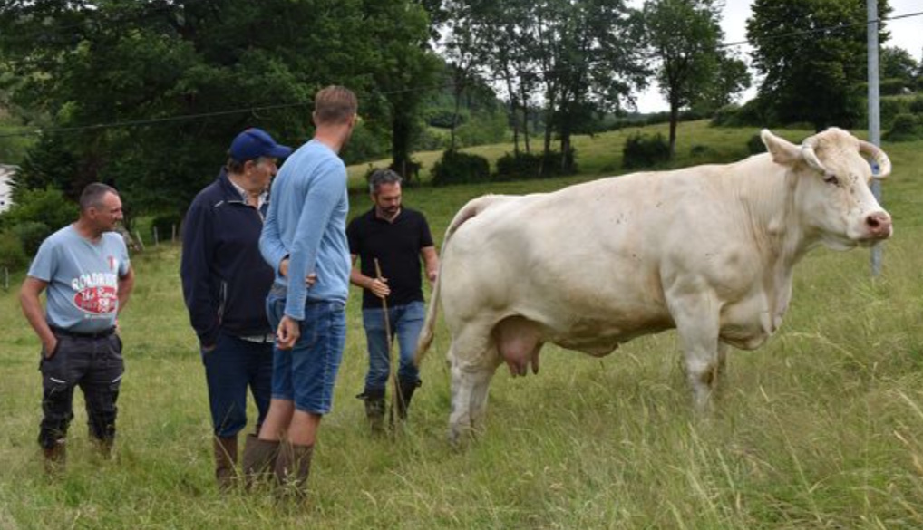 Tournée de prospection de l'association auprès des éleveurs
