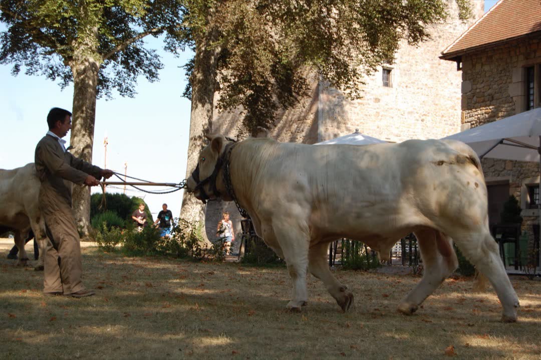 Assemblée générale 2019 — photo 18