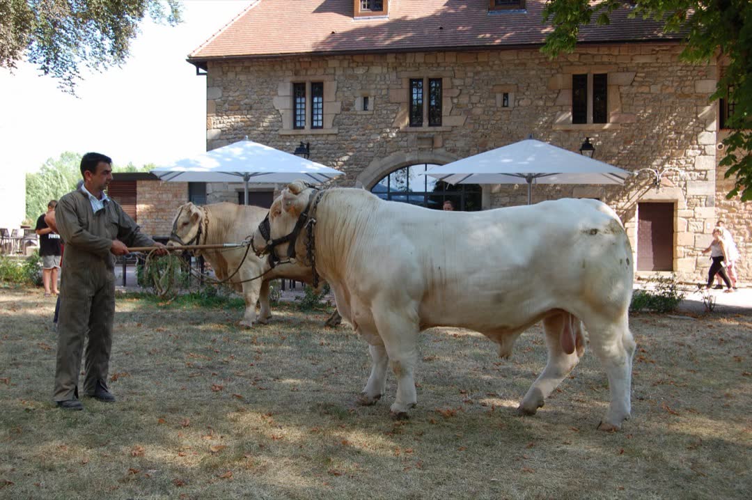 Assemblée générale 2019 — photo 20