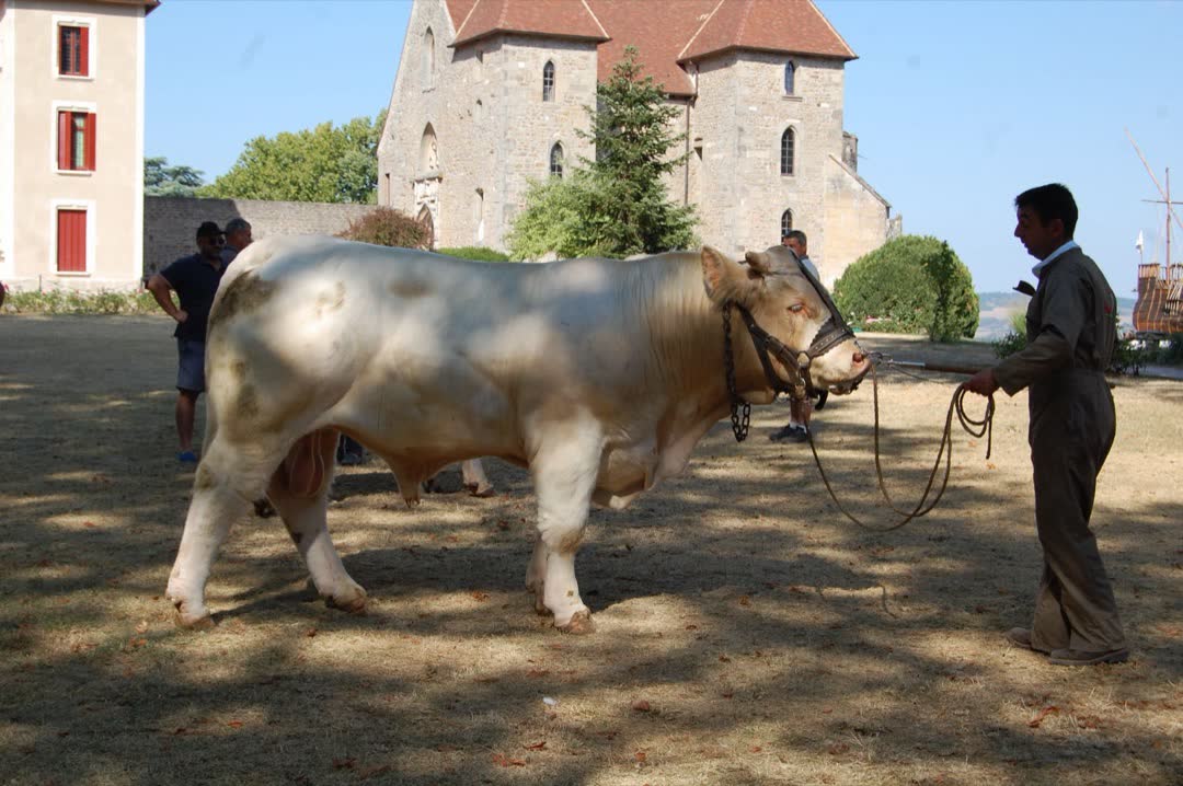 Assemblée générale 2019 — photo 29