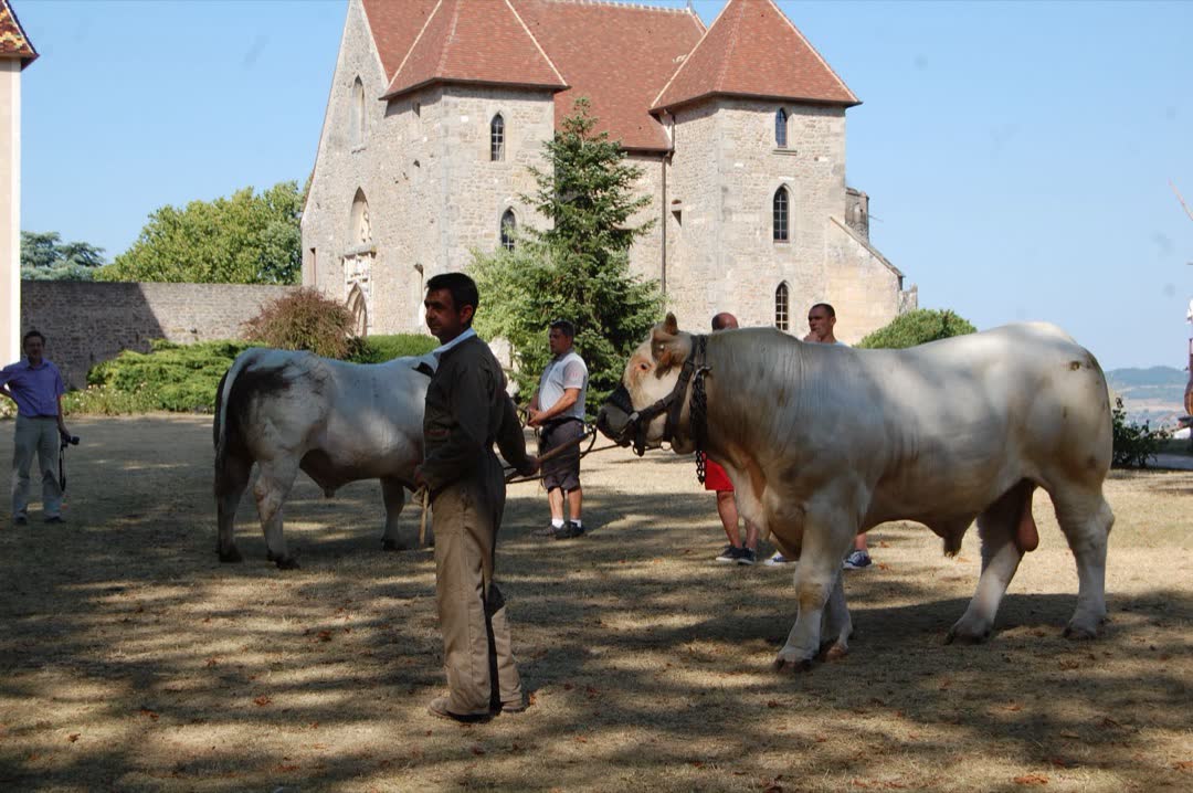 Assemblée générale 2019 — photo 30