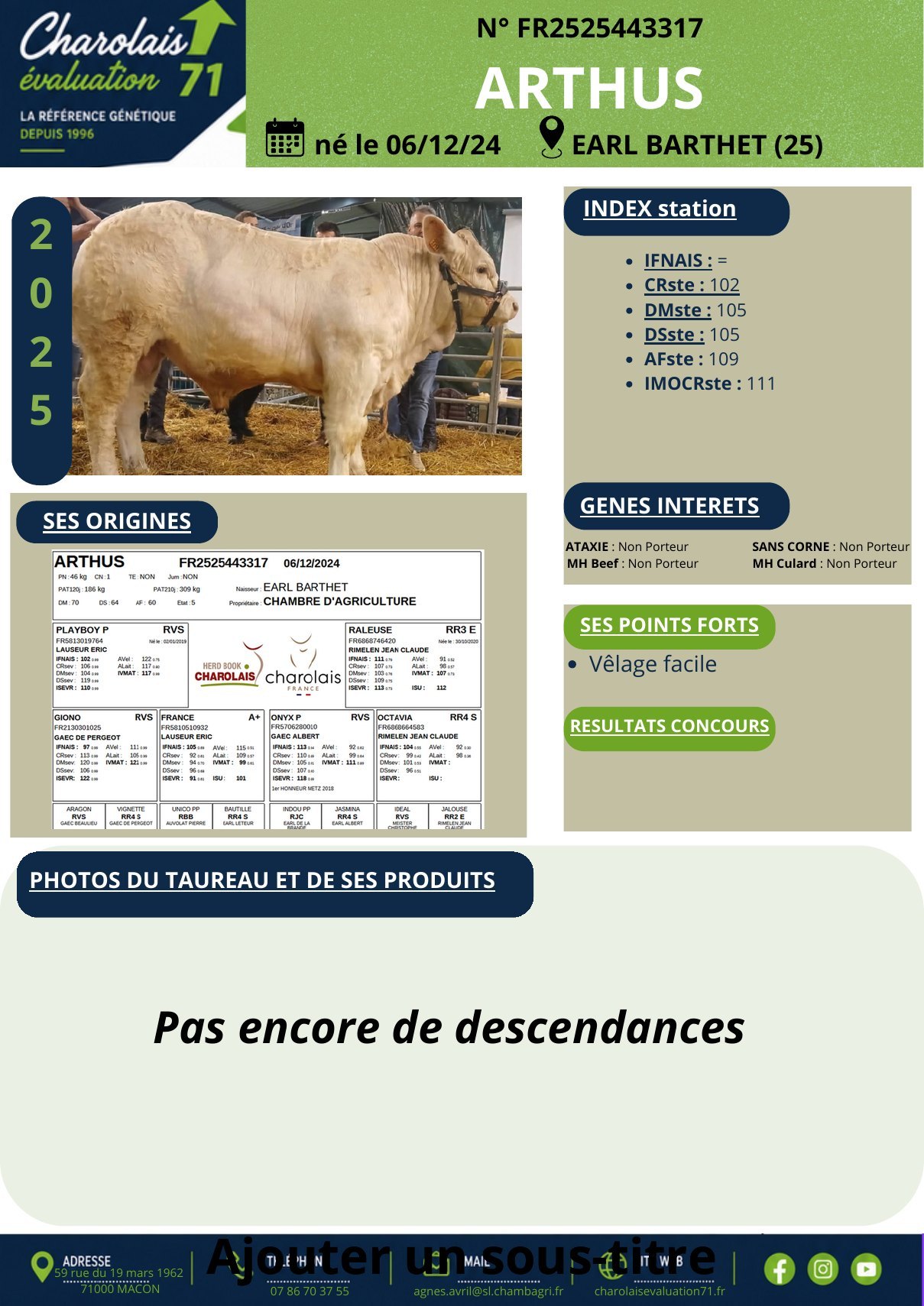 Catalogue page 2