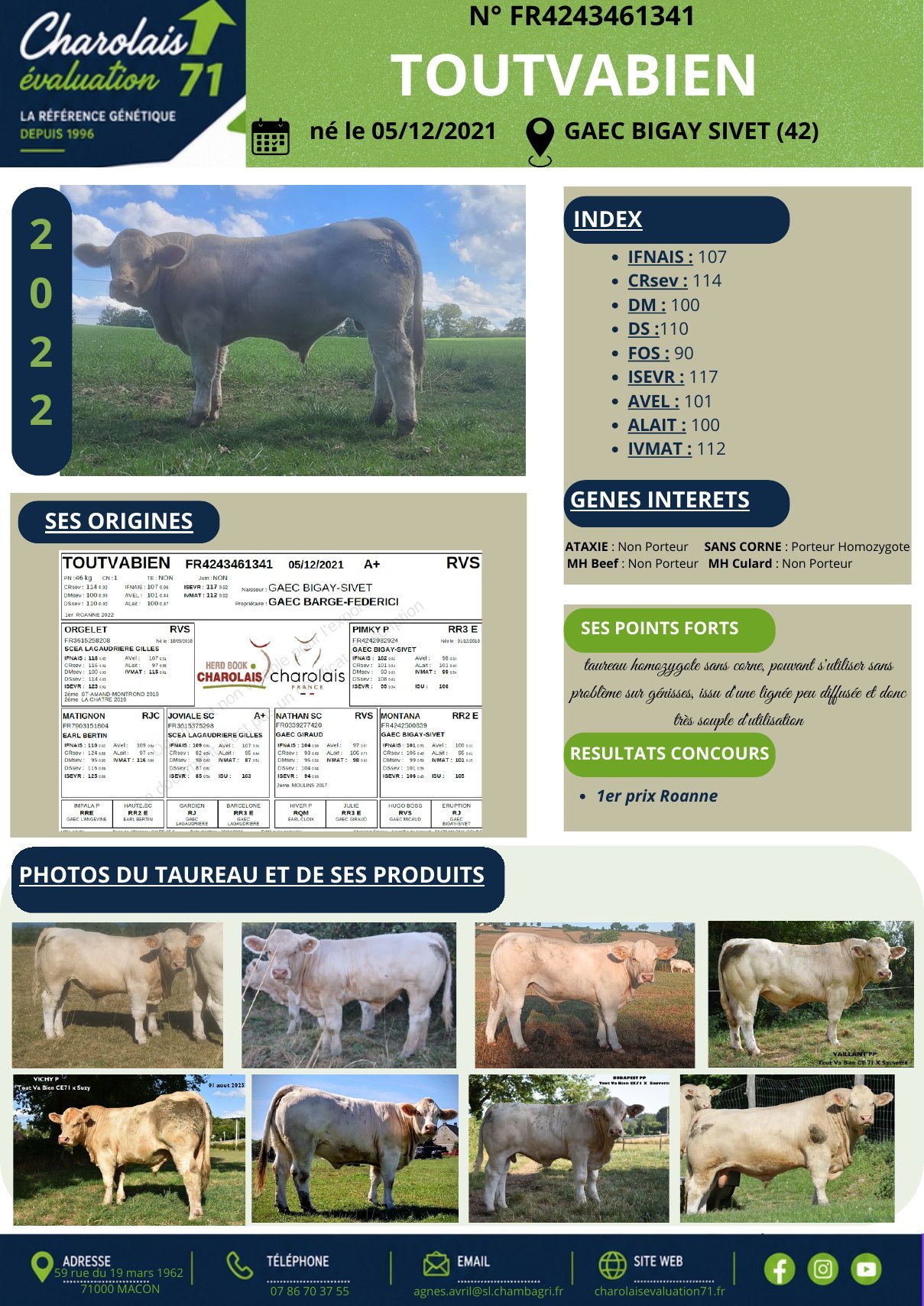 Catalogue page 5