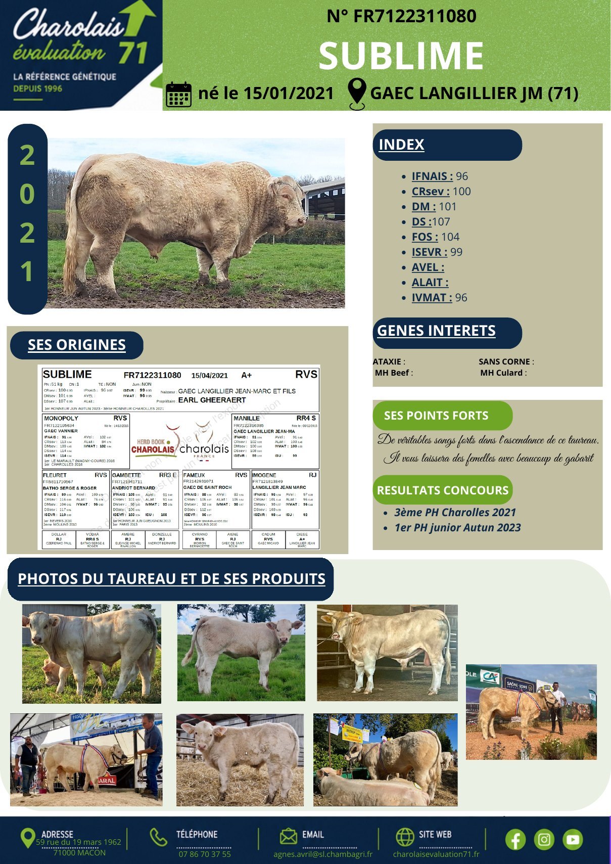 Catalogue page 6