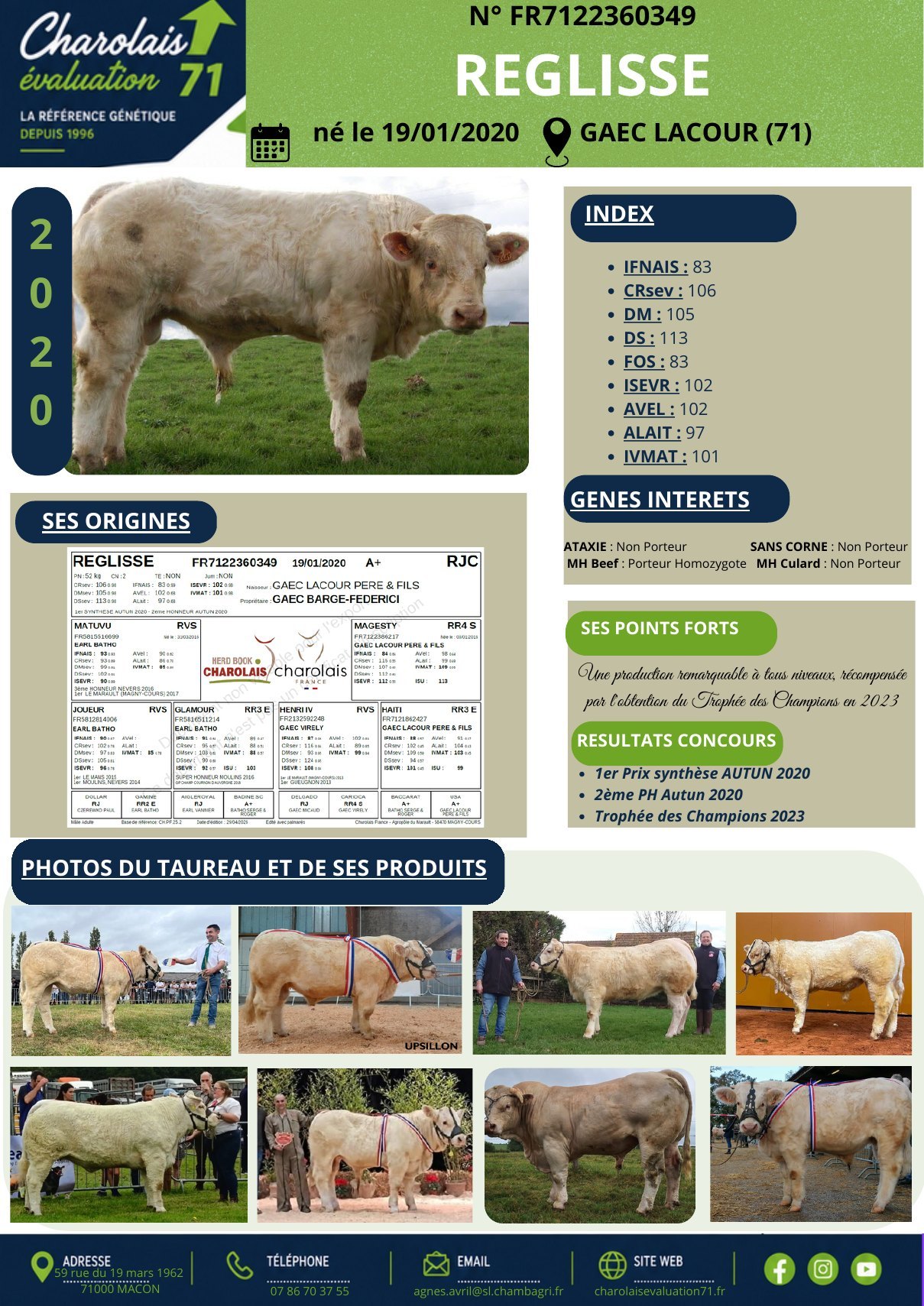 Catalogue page 7