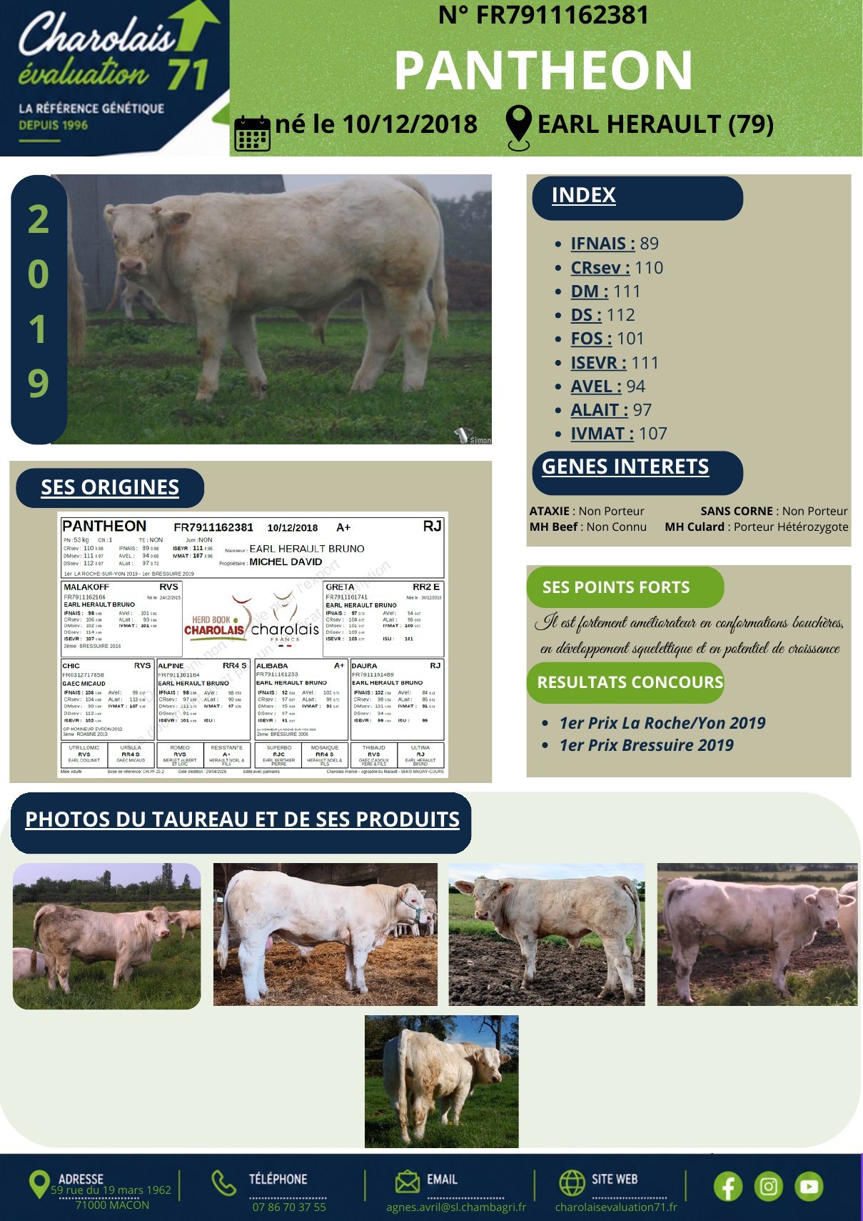 Catalogue page 9