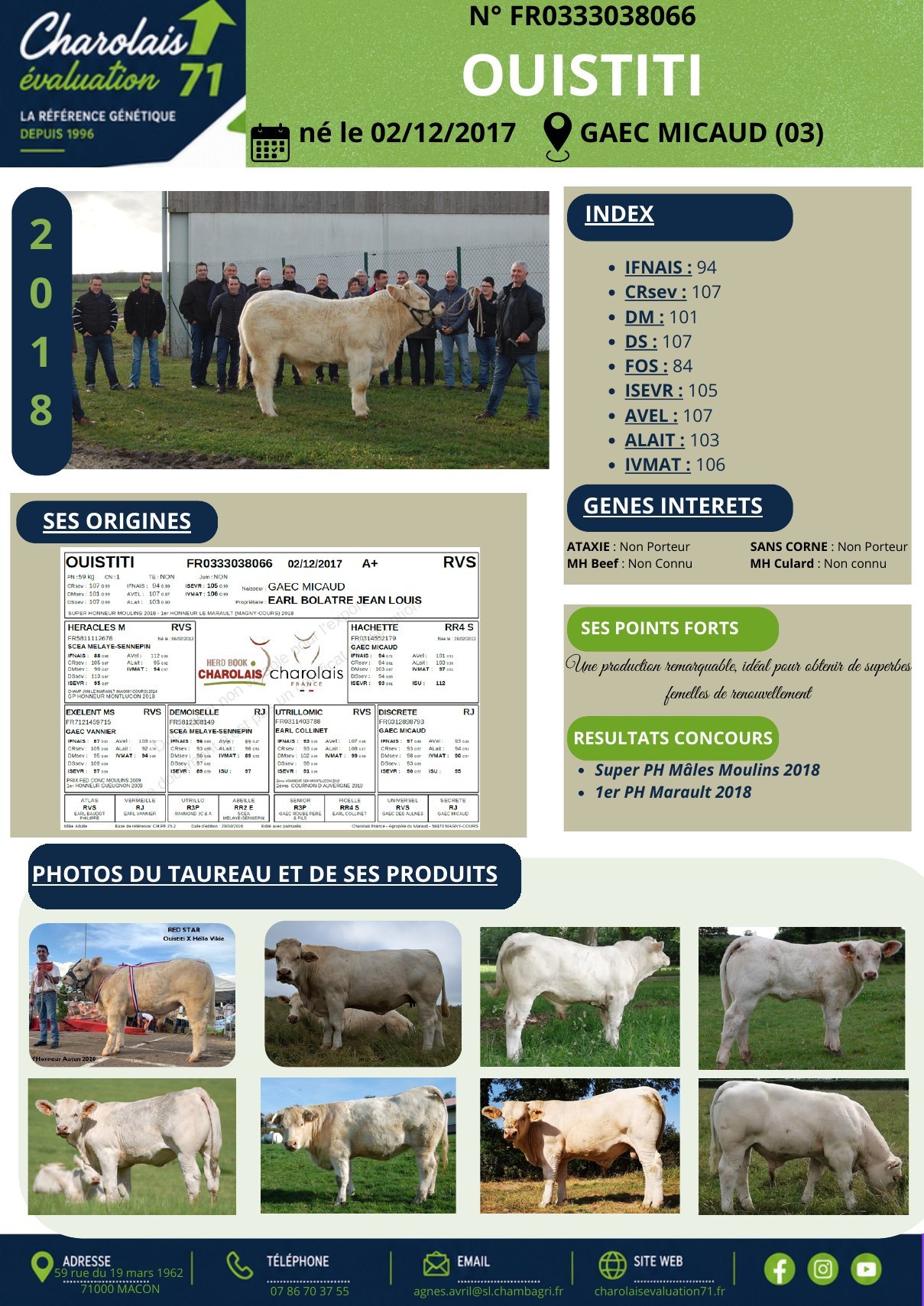Catalogue page 10