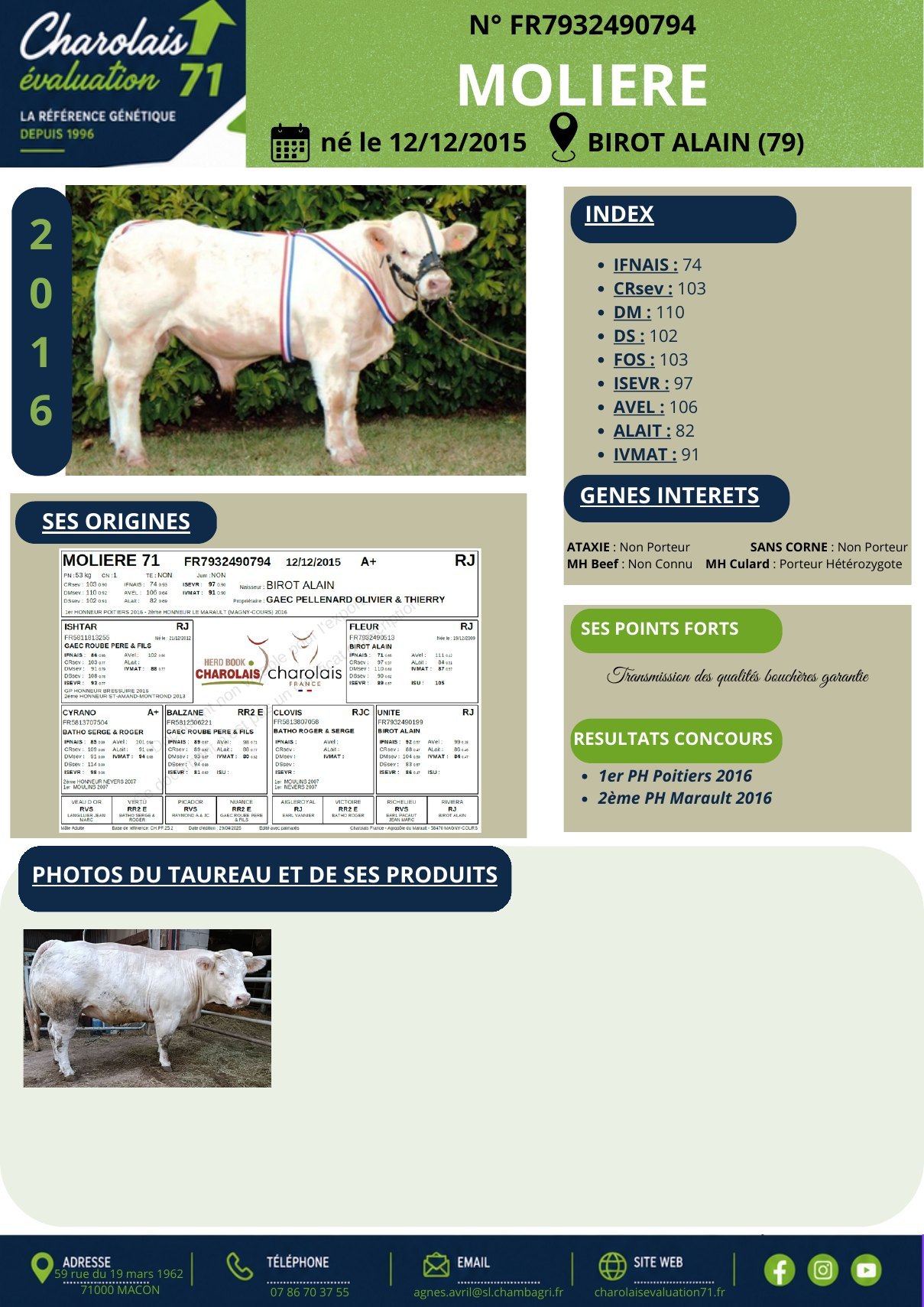 Catalogue page 11
