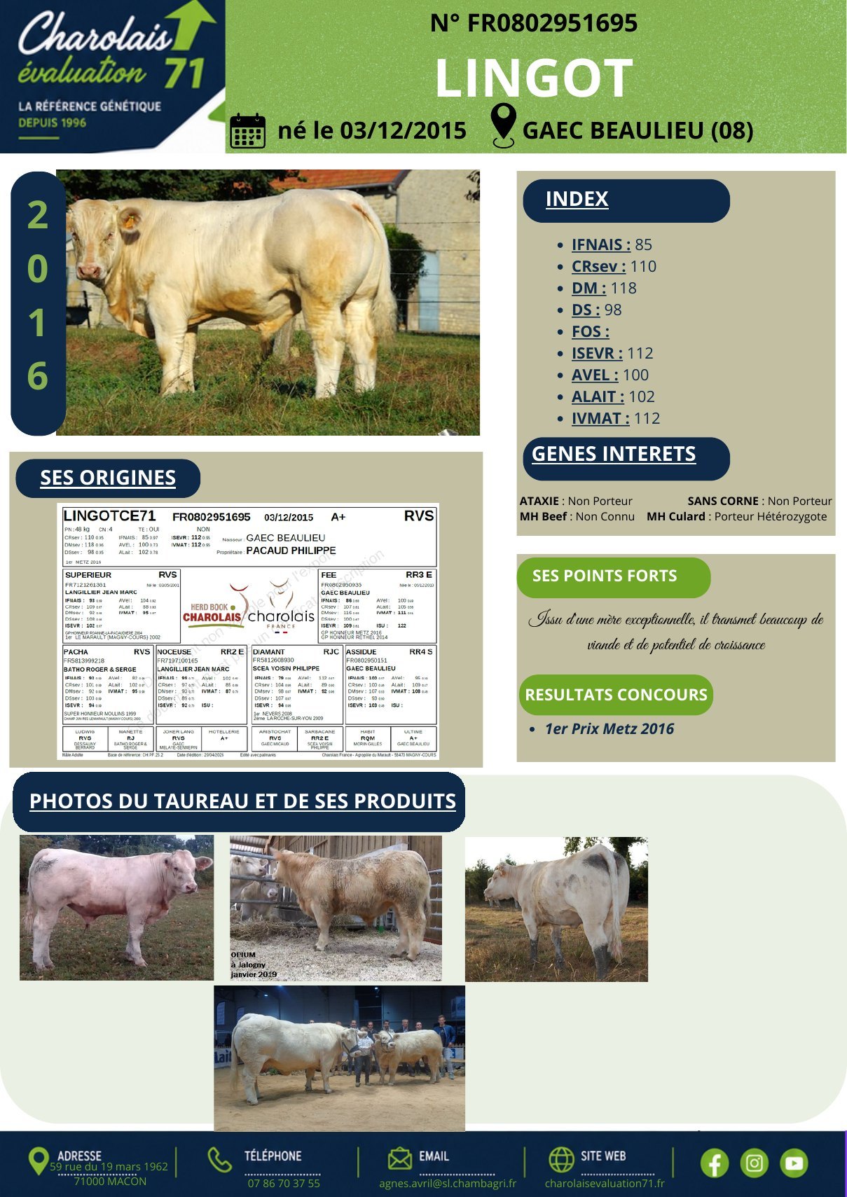 Catalogue page 12