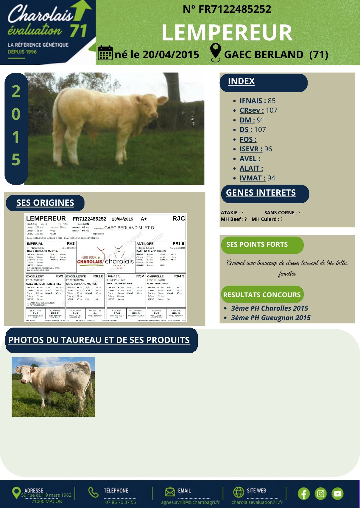 Catalogue page 13