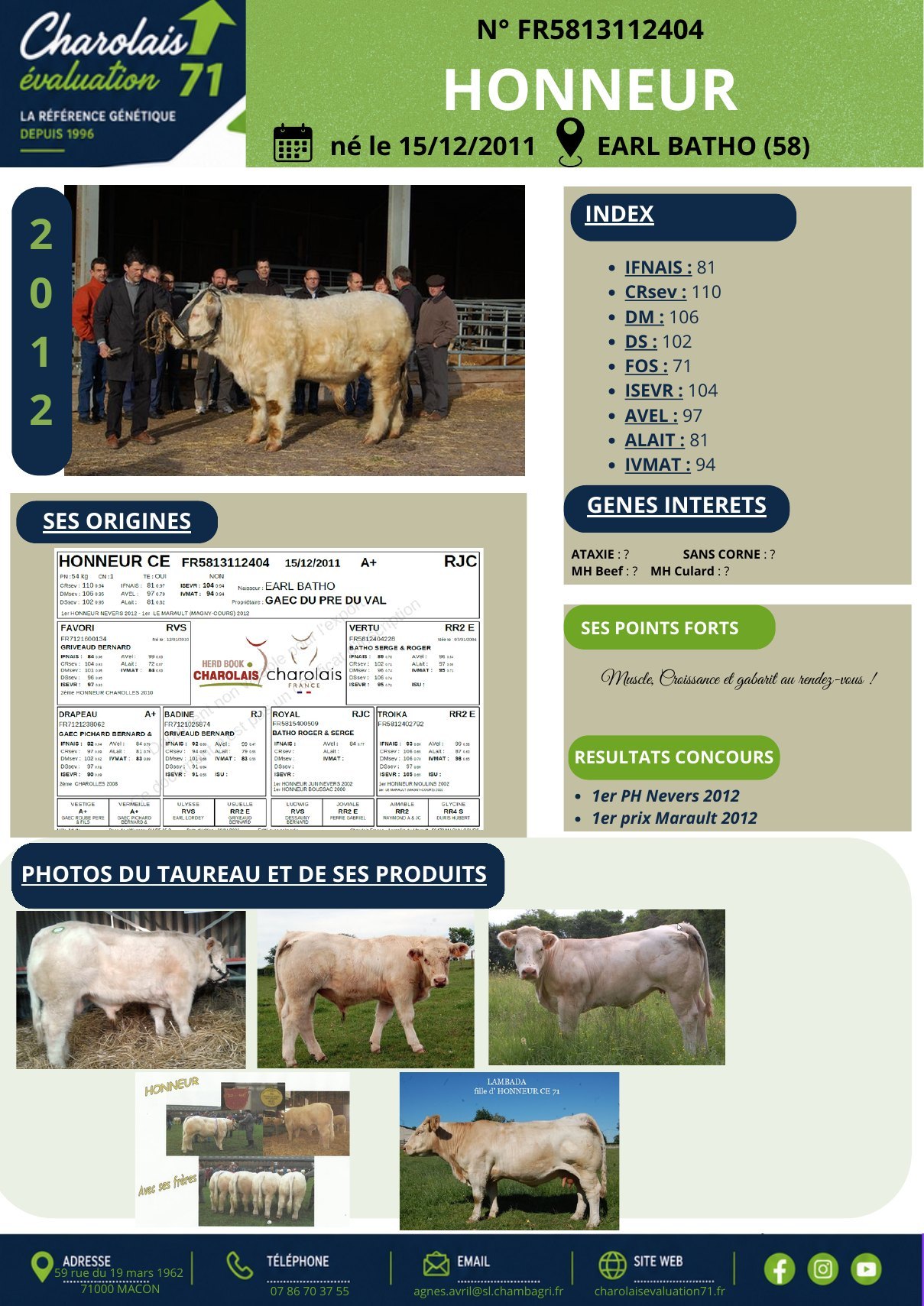 Catalogue page 17