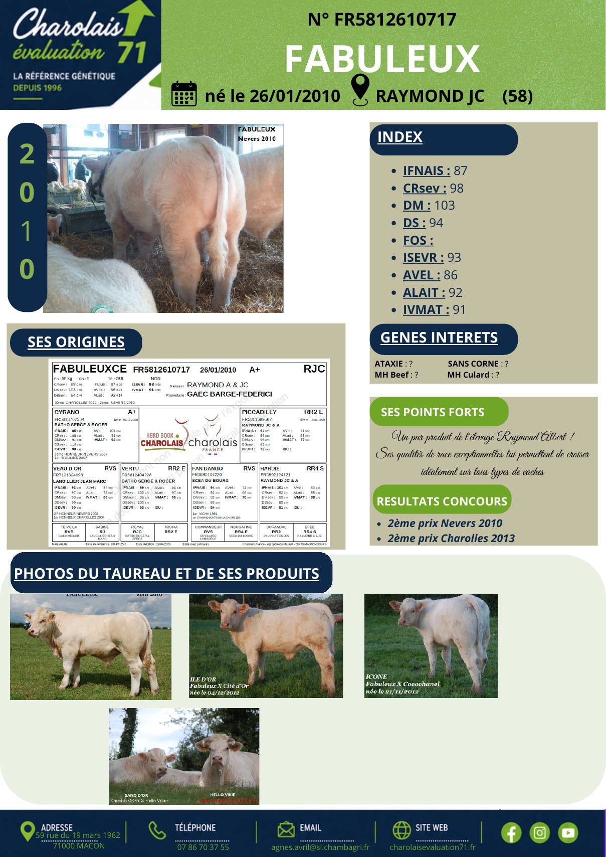 Catalogue page 19