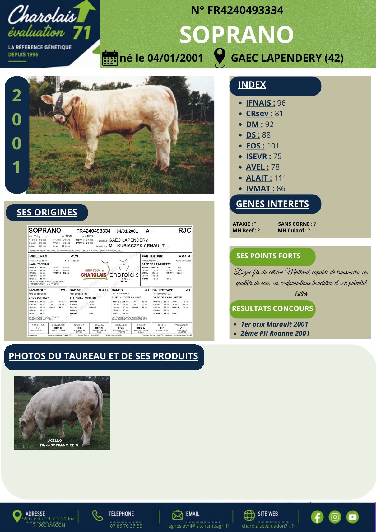 Catalogue page 26