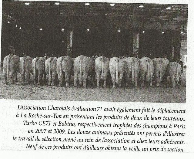 Photo historique d'animaux présentés par l'association