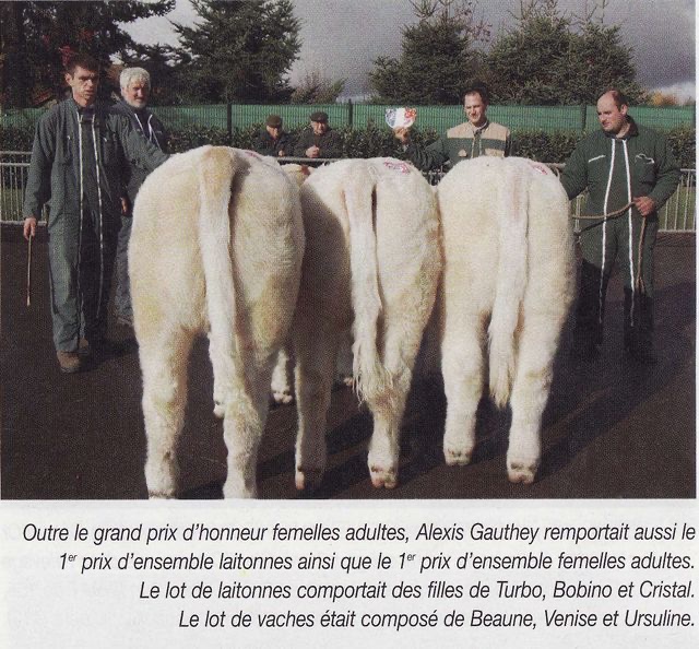 Production de BOBINO — photo 1