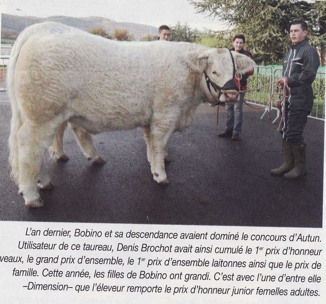 Production de BOBINO — photo 5