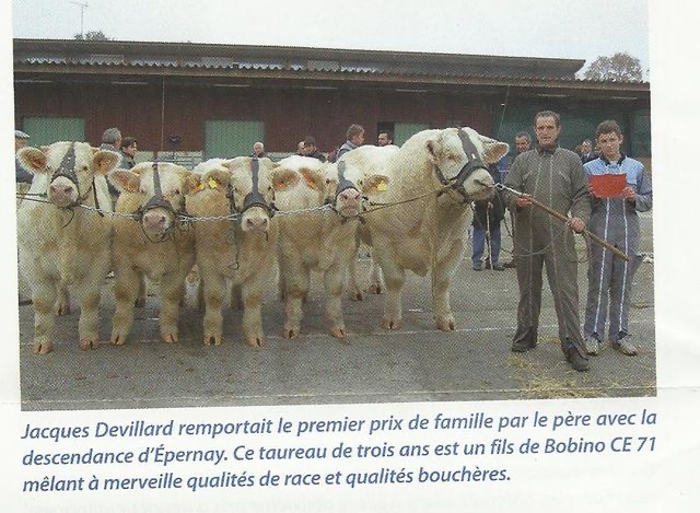 Production de BOBINO — photo 9