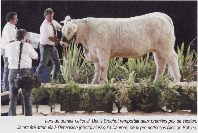 Production de BOBINO — photo 11