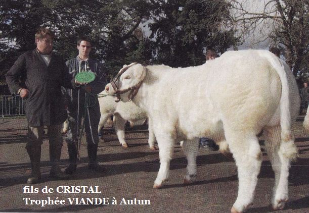 Production de CRISTAL — photo 6