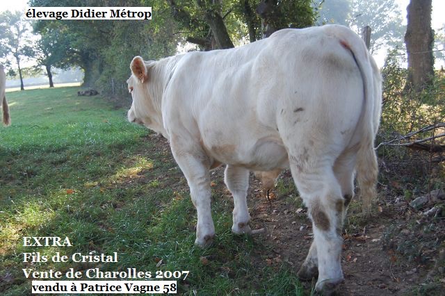 Production de CRISTAL — photo 7