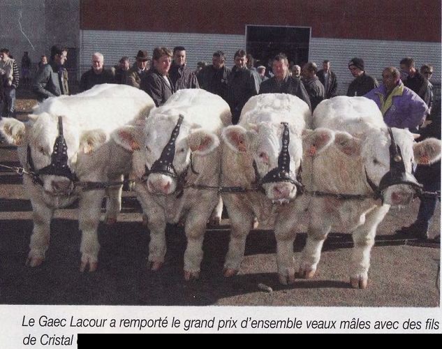 Production de CRISTAL — photo 8