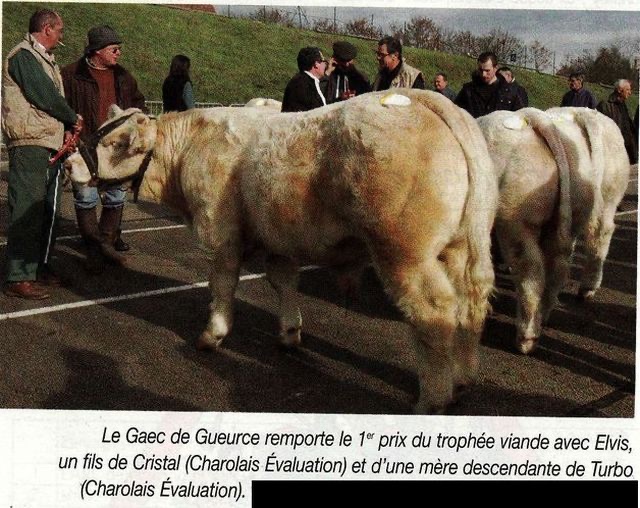 Production de CRISTAL — photo 9