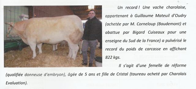 Production de CRISTAL — photo 10