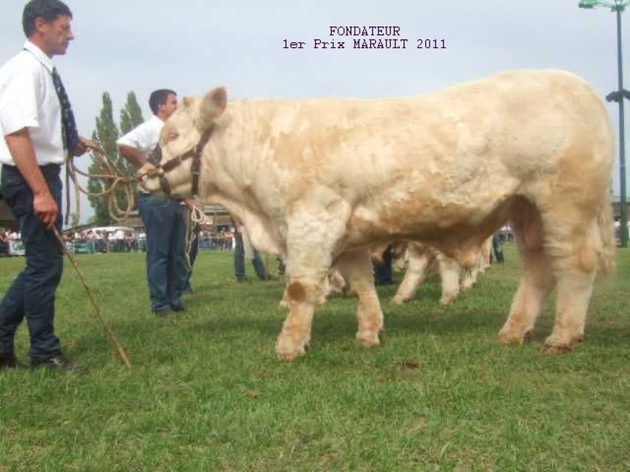 FONDATEUR — photo 2