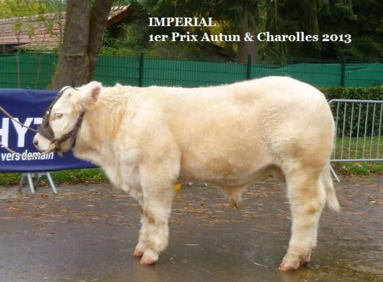 IMPÉRIAL — photo 2