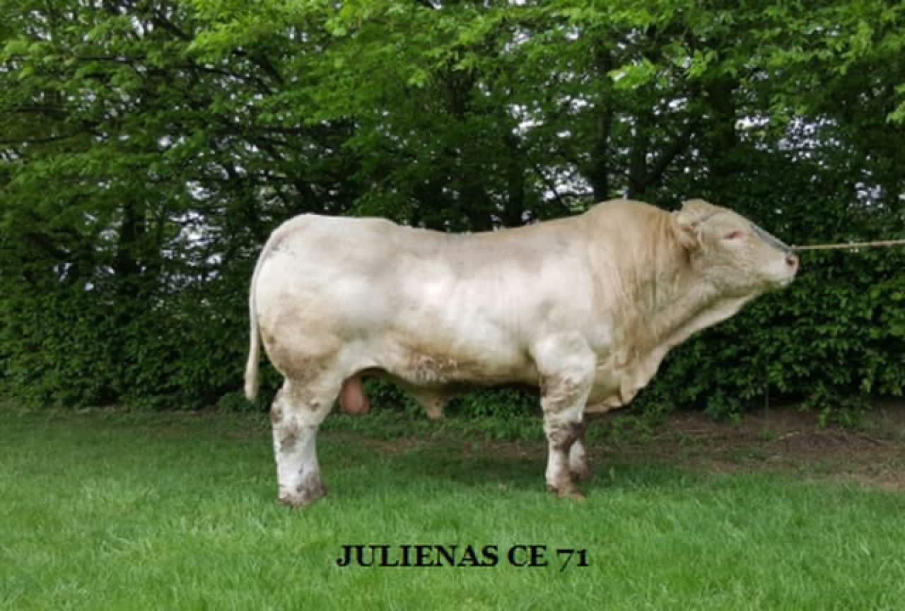 JULIÉNAS — photo 3