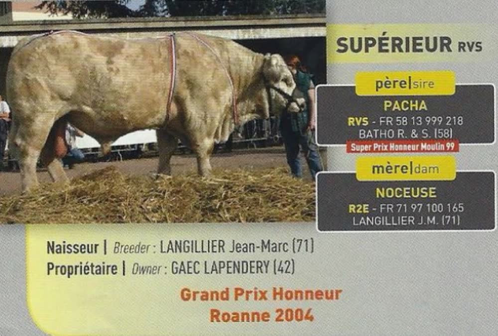 Père de LINGOT