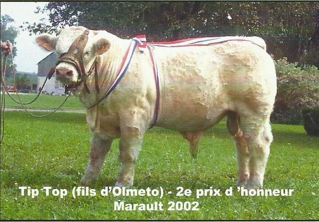 Production de OLMETO — photo 1