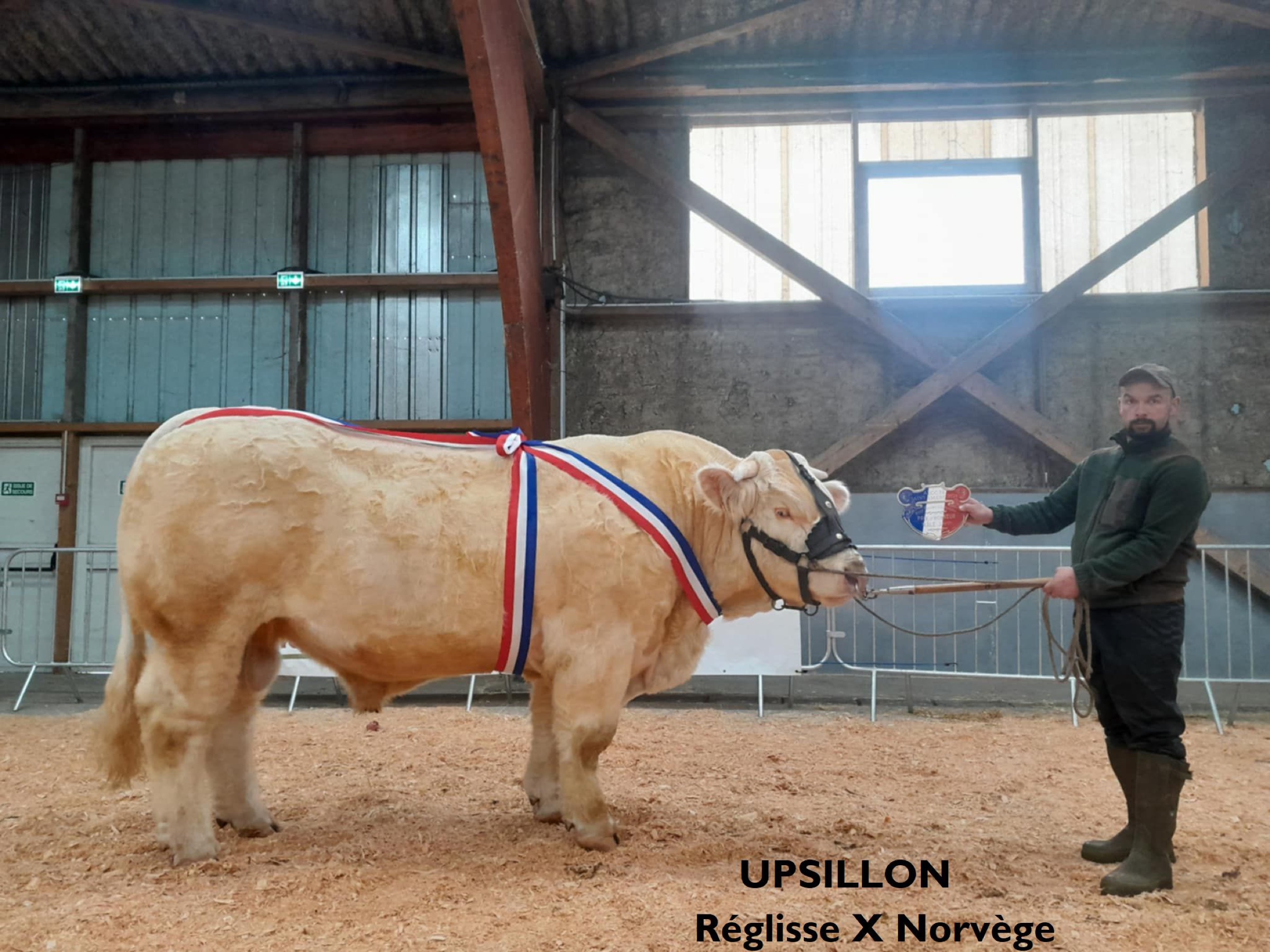 Produit de RÉGLISSE — Upsillon
