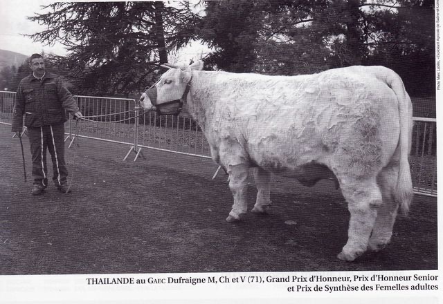 Production de RONALDO — photo 1