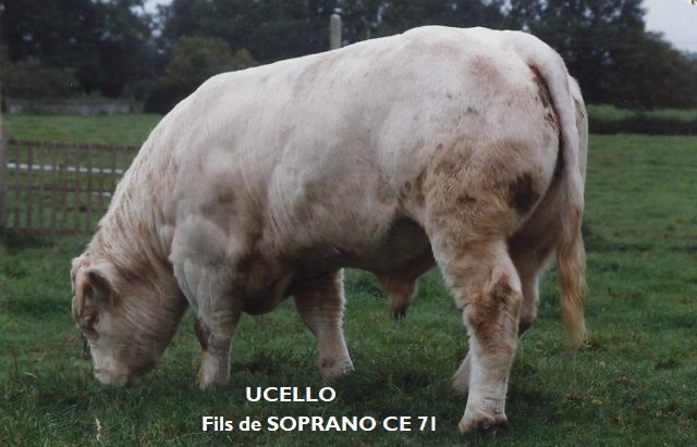 Production de SOPRANO — photo 1