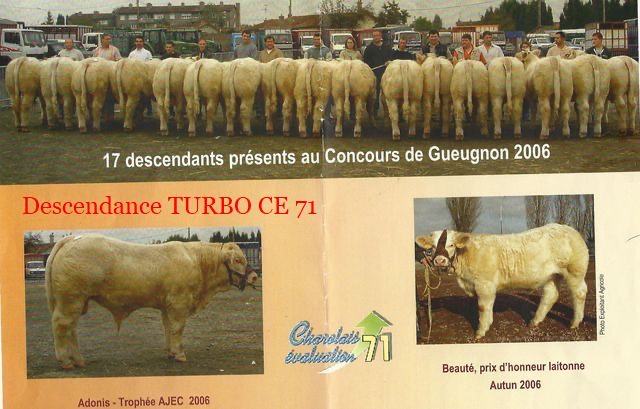 Production de TURBO — photo 2
