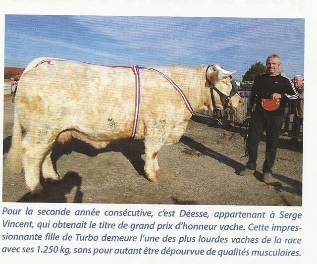 Production de TURBO — photo 8