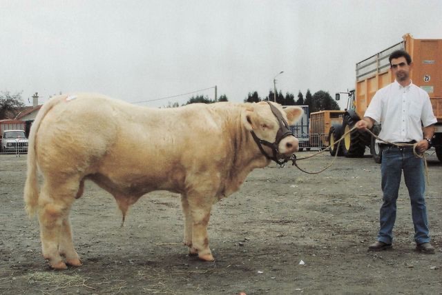 Production de TURBO — photo 10